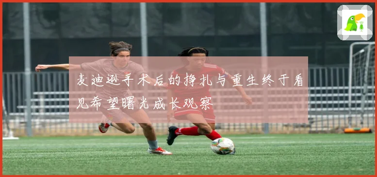 麦迪逊手术后的挣扎与重生终于看见希望曙光成长观察