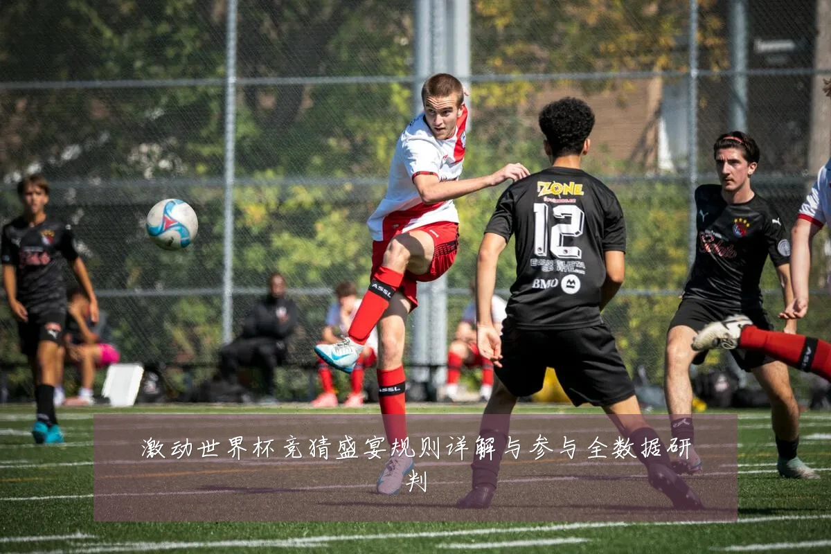 激动世界杯竞猜盛宴规则详解与参与全数据研判